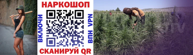Купить наркотики цена Сафоново Каннабис  Мефедрон  Alpha PVP  Амфетамин  Cocaine  ГАШ 