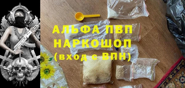 стаф Арсеньев