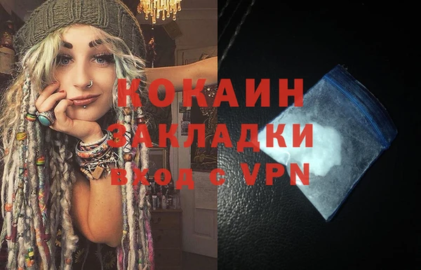 стаф Арсеньев
