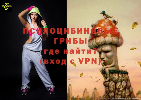 стаф Арсеньев