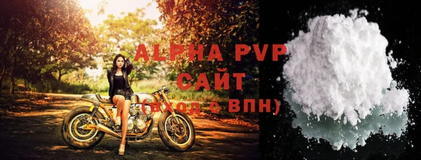 стаф Арсеньев