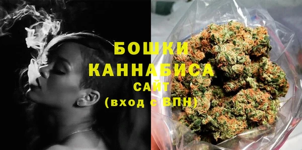 стаф Арсеньев
