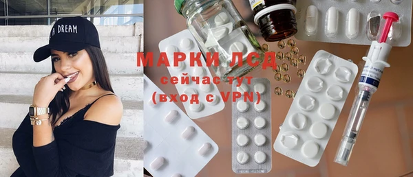 стаф Арсеньев