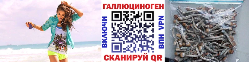 Псилоцибиновые грибы Psilocybe  как найти закладки  Сафоново 